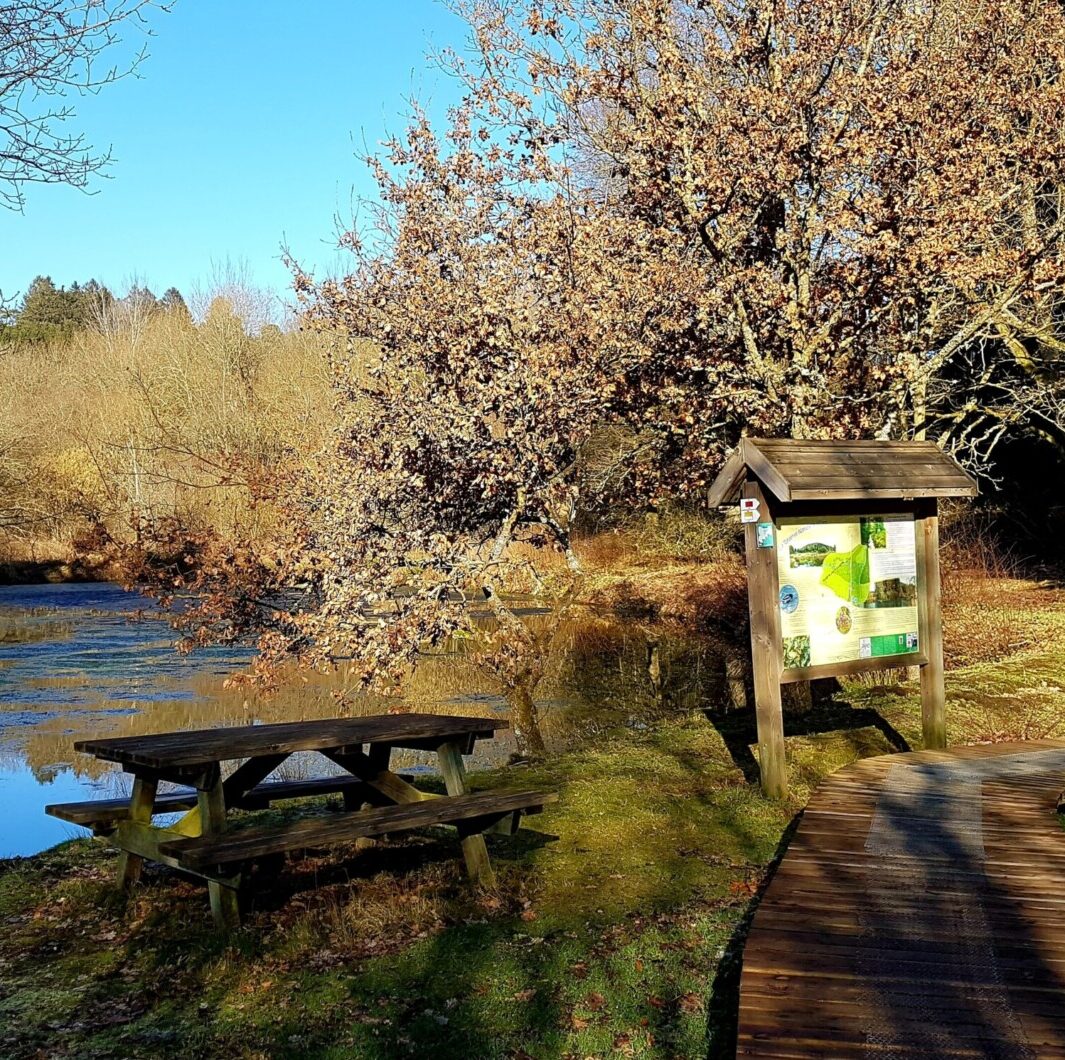 Totemus relais d'orti